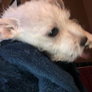 Meet your Posher, Veronica